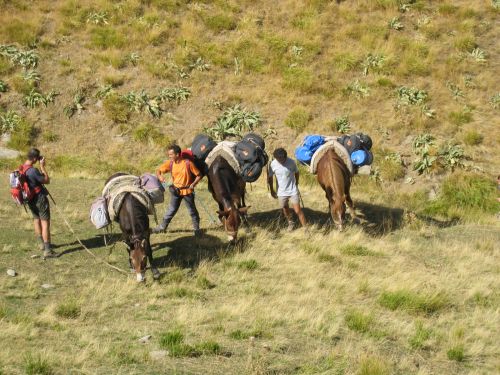trekking con i muli-12.JPG